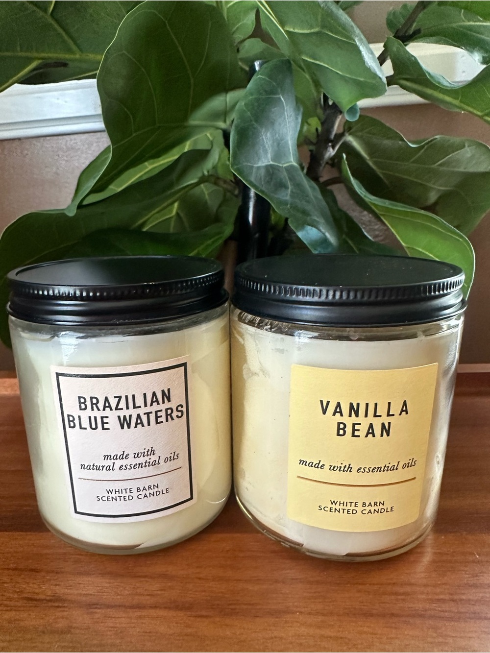 White Barn Vanilla Bean & Brazilian Blue Waters Scented home